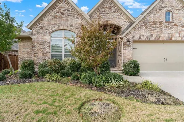 4017 Palomino Road, Aubrey, TX 76227