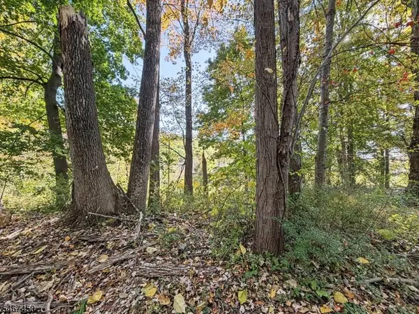 0 Pine Drive, Liberty Twp., NJ 07823