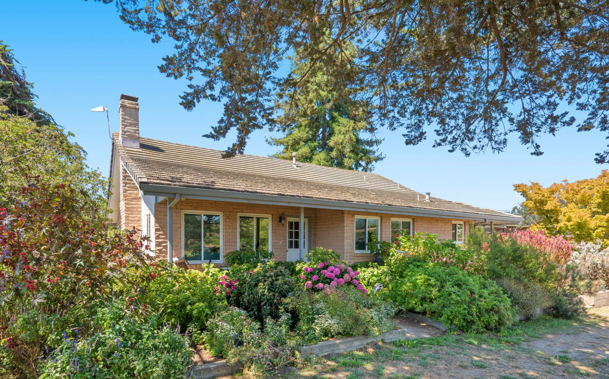 Charming country home at Birdsong Orchards on 8 acres in Watsonville.