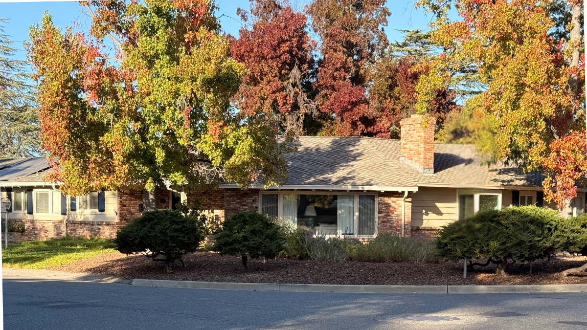 Single-story ranch-style home with mature trees in Saratoga’s Golden Triangle neighborhood
