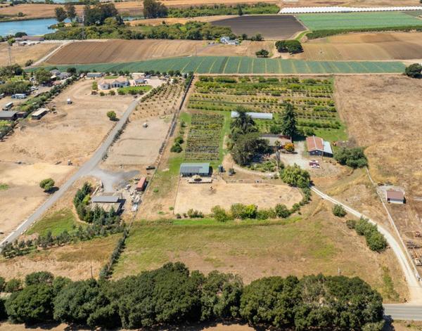 feature image of Where Dreams Take Root: Discover Birdsong Orchards
