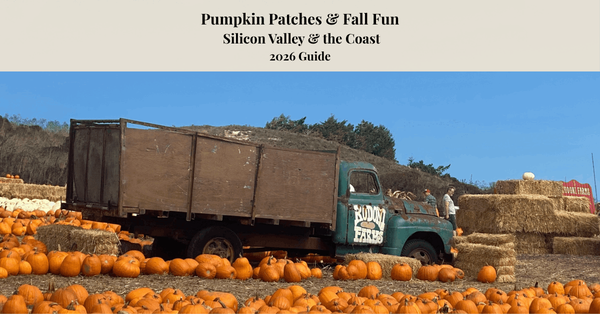 feature image of Pumpkin Patches &amp; Fall Fun: Silicon Valley &amp; the Coast | 2026