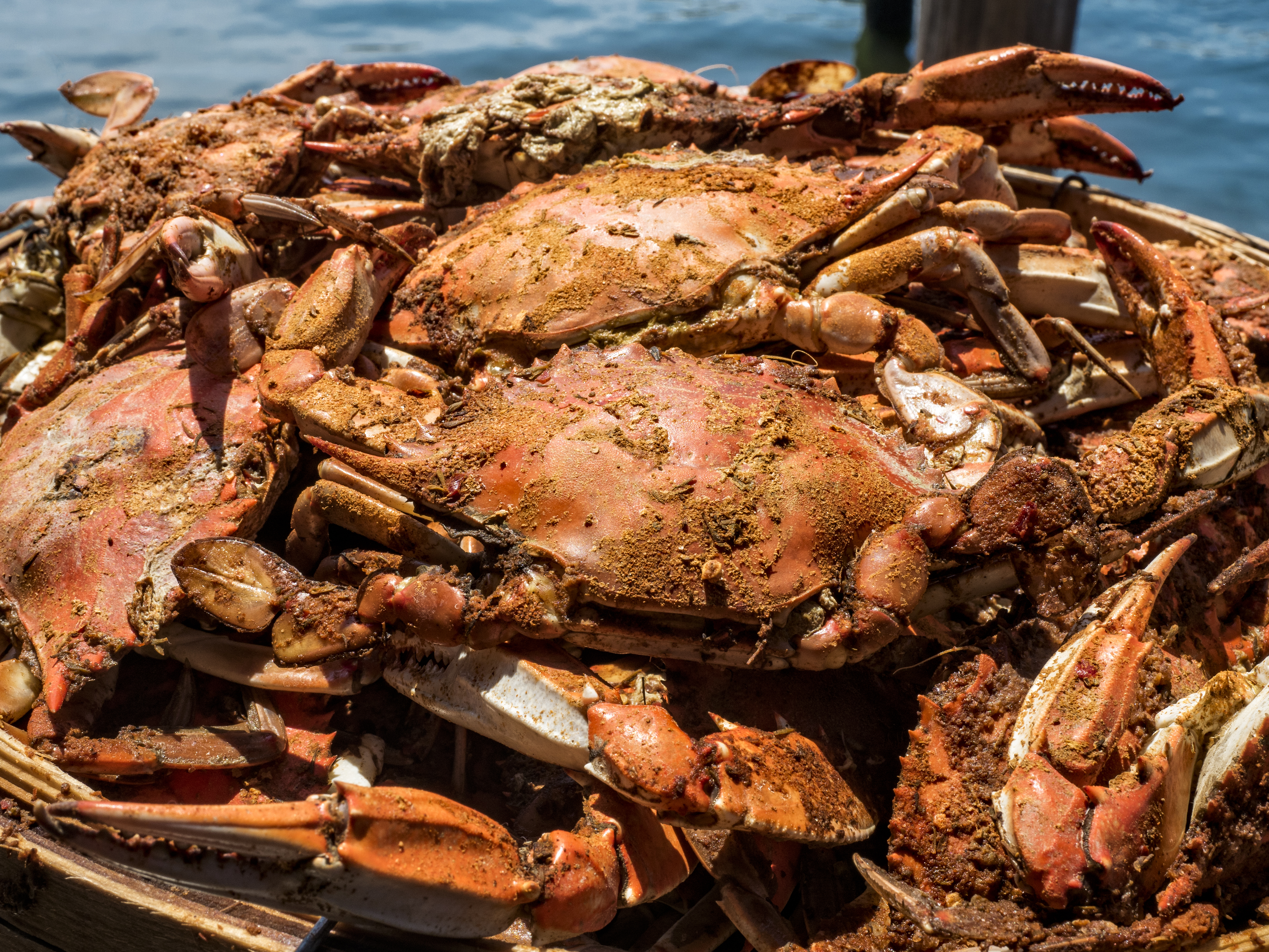 Summer food or crabs in Annapolis