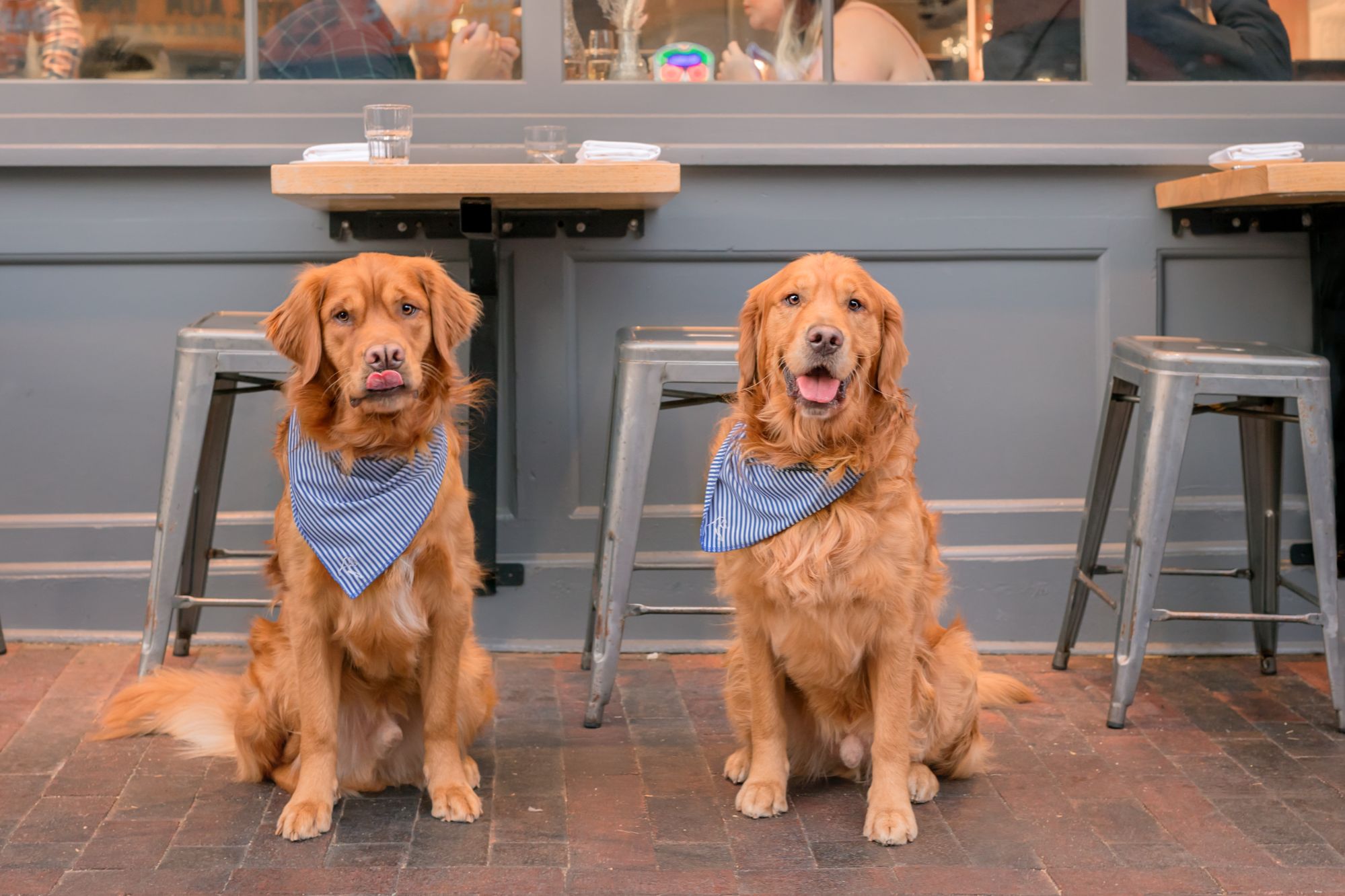 Outdoor dining in Annapolis during summer