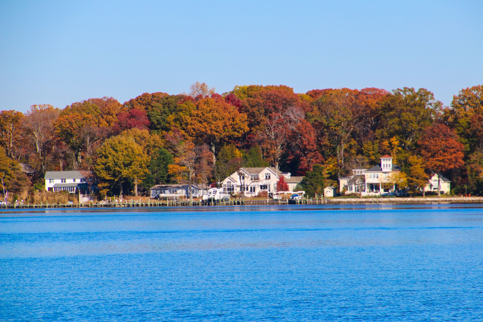 Waterfront homes with private piers along the Chesapeake Bay shoreline surrounded by fall foliage, Annapolis, MD