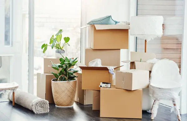Where Do I Take All This Stuff Before I Move? A Greater Severna Park Decluttering Guide,Jen Holden