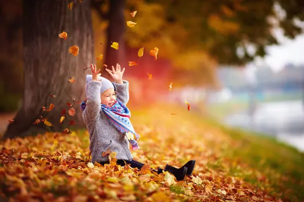 2026 Greater Severna Park Fall and Holiday Events Guide