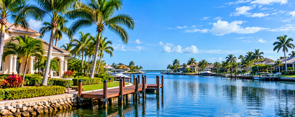 Tropical Waterfront Marina Paradise