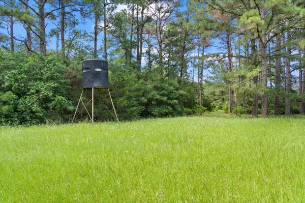 Tract 11 & 12 - St. Delight Rd, Paige, TX 78659