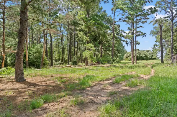 Tract 11 & 12 - St. Delight Rd, Paige, TX 78659
