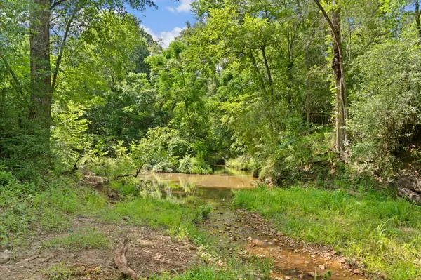 Tract 11 & 12 - St. Delight Rd, Paige, TX 78659