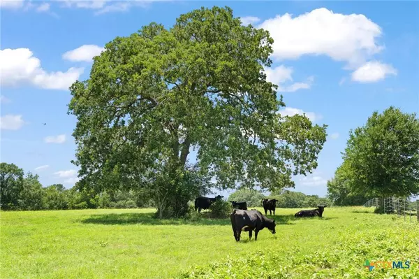 1010 Saint Delight RD, Paige, TX 78659