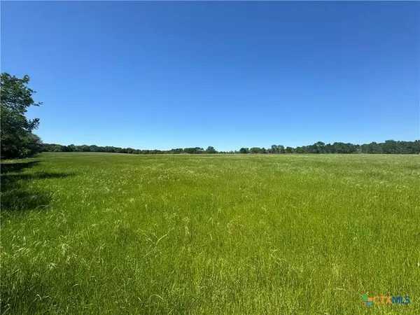 TBD St Delight (Tract 3) RD, Paige, TX 78659