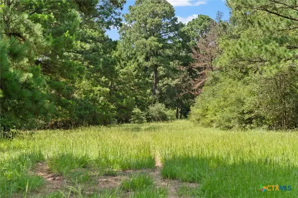 TBD St Delight (Tract 3) RD, Paige, TX 78659