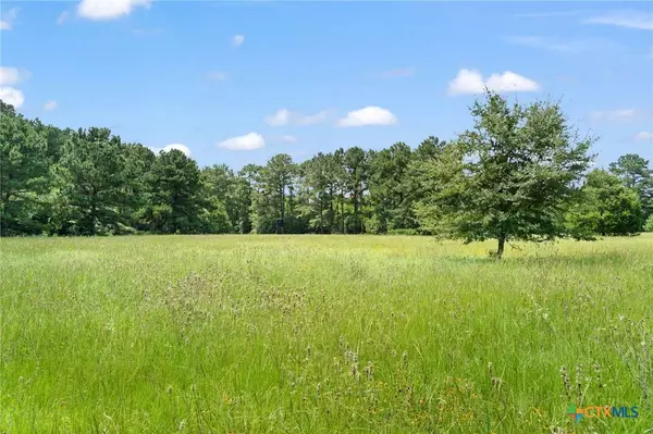 TBD St Delight (Tract 3) RD, Paige, TX 78659