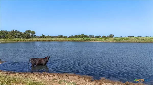 TBD Tract 7 County Road 326, Giddings, TX 78942