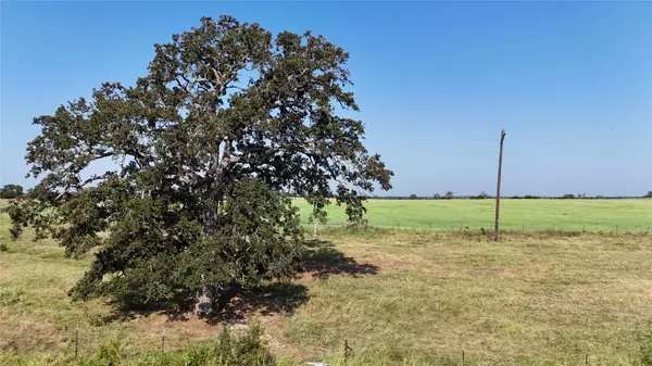 TBD County Road 326 - Tract 6, Giddings, TX 78942