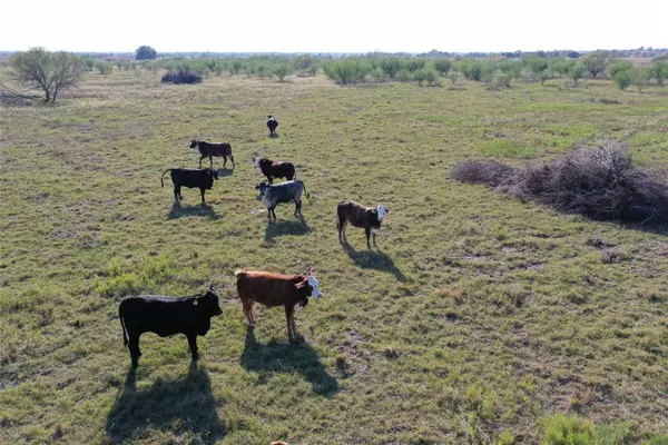 Tract 2 TBD Jackson Rd, Bellville, TX 77418