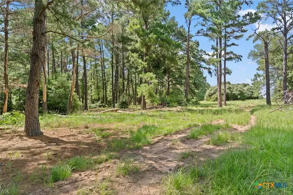 TBD (Tracts 11 & 12) St Delight, Paige, TX 78659