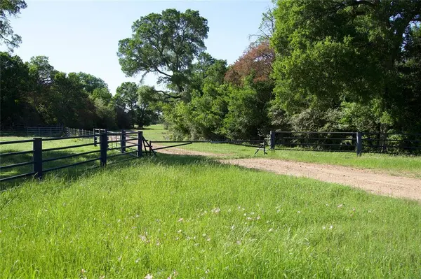 1010 St Delight RD, Paige, TX 78659