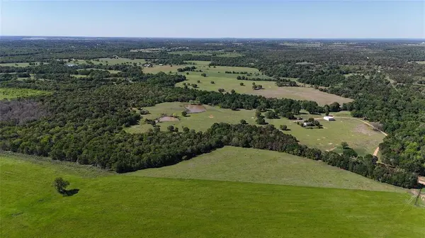 1010 St Delight RD, Paige, TX 78659