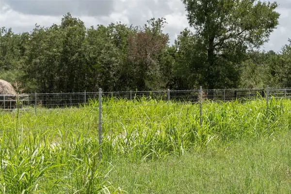 TBD St Delight Tract 4, Paige, TX 78659