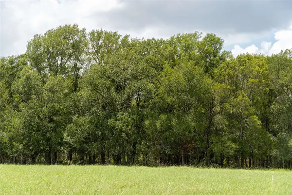 TBD St Delight Tract 4, Paige, TX 78659