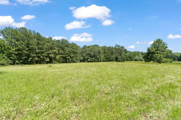 TBD St Delight Tract 1, Paige, TX 78659