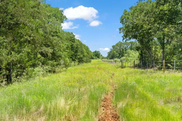 TBD St Delight Tract 1, Paige, TX 78659