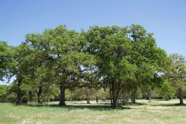 1035 Old Sayers RD, Elgin, TX 78621