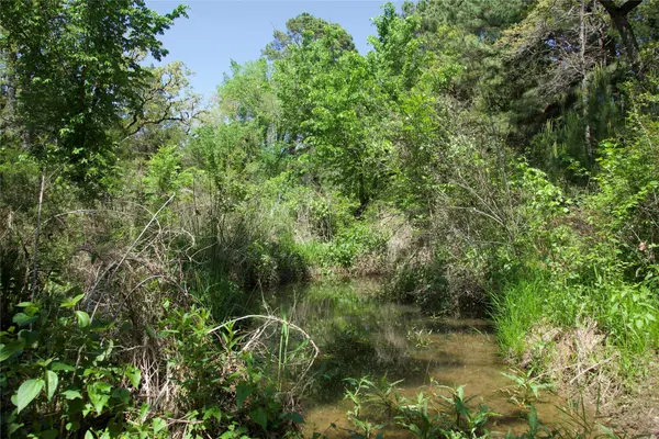 1035 Old Sayers RD, Elgin, TX 78621