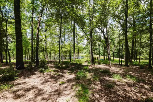 14881 Lake Meadow Court, Tyler, TX 75707