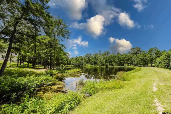 14881 Lake Meadow Court, Tyler, TX 75707