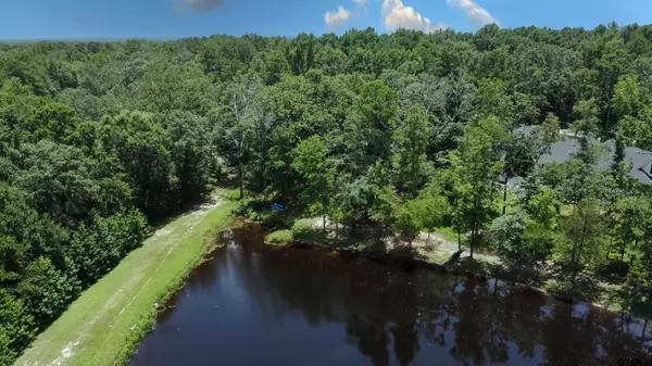 14881 Lake Meadow Court, Tyler, TX 75707