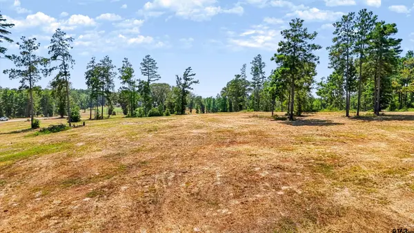15483 Aniston Ln - (LOT 1), Flint, TX 75762