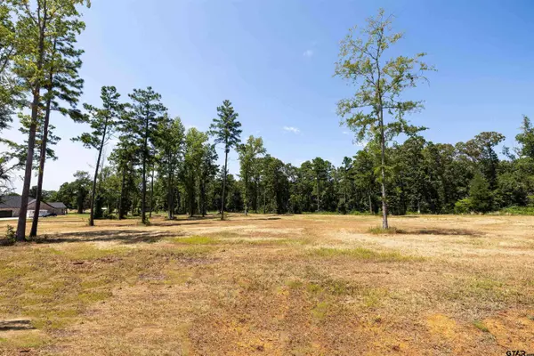 15922 Aniston Ln - (LOT 20), Flint, TX 75762