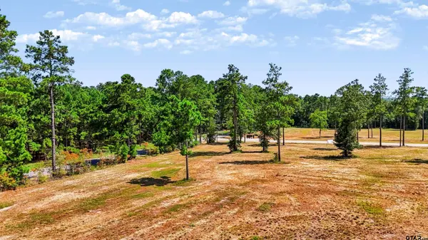 15483 Aniston Ln - (LOT 1), Flint, TX 75762