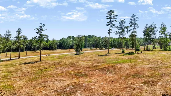 15483 Aniston Ln - (LOT 1), Flint, TX 75762
