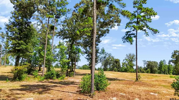 15922 Aniston Ln - (LOT 20), Flint, TX 75762