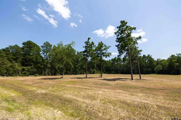 15483 Aniston Ln - (LOT 1)