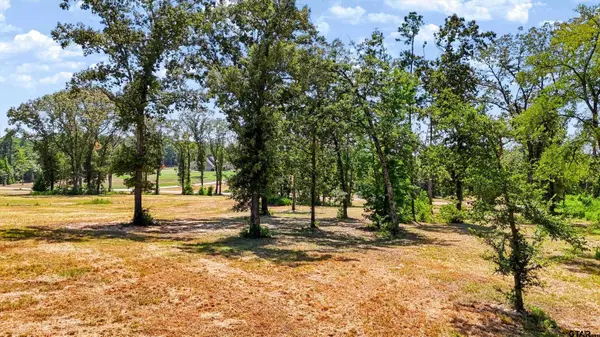 15922 Aniston Ln - (LOT 20), Flint, TX 75762