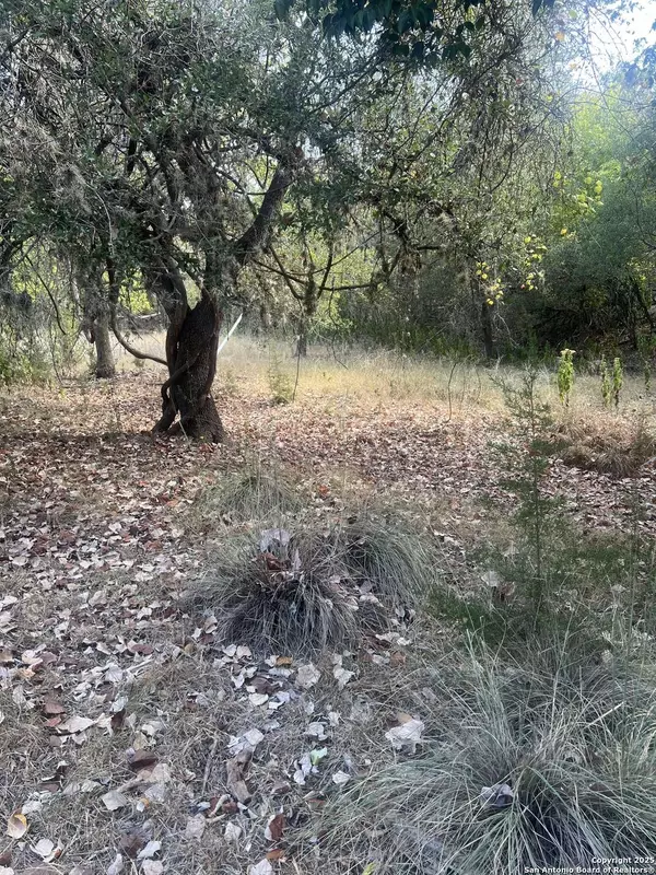 575 Burning Tree, Bandera, TX 78003