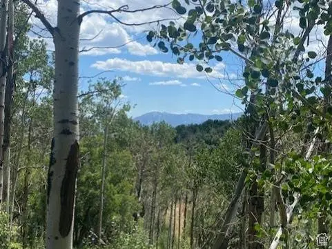 2684 S FOREST MEADOW RD, Coalville, UT 84017