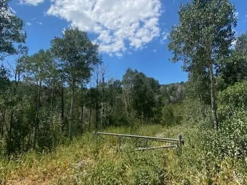 2684 S FOREST MEADOW RD, Coalville, UT 84017