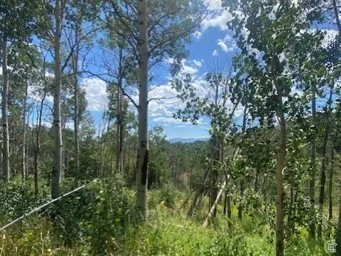 2684 S FOREST MEADOW RD, Coalville, UT 84017