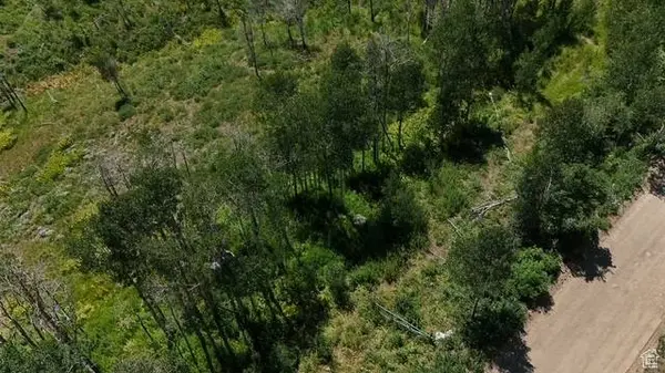 2684 S FOREST MEADOW RD, Coalville, UT 84017