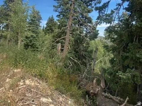 2393 S NAVAJO DR #C-47, Coalville, UT 84017