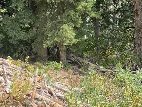 2393 S NAVAJO DR #C-47, Coalville, UT 84017