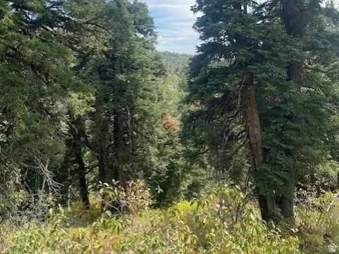 2393 S NAVAJO DR #C-47, Coalville, UT 84017