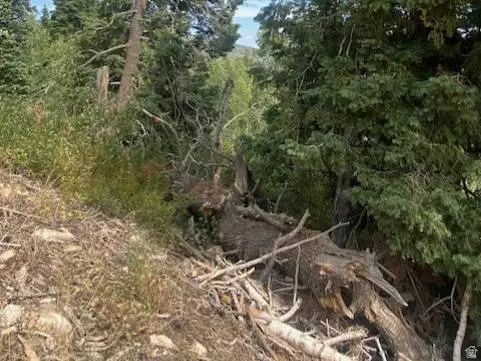 2393 S NAVAJO DR #C-47, Coalville, UT 84017